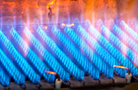 Delnamer gas fired boilers